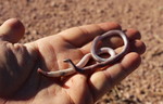 photo thumbnail #4