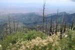 photo thumbnail #4