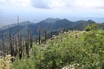 photo thumbnail #5