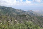 photo thumbnail #7