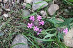 photo thumbnail #14