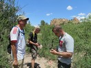photo thumbnail #11