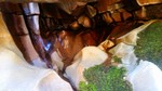 photo thumbnail #5