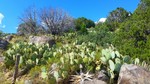 photo thumbnail #6