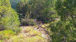 photo thumbnail #11