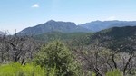 photo thumbnail #5