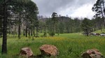 photo thumbnail #9