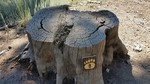 photo thumbnail #15