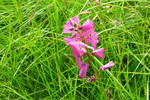 photo thumbnail #13
