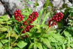 photo thumbnail #14