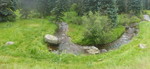 photo thumbnail #5