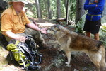 photo thumbnail #11
