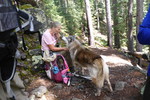 photo thumbnail #12