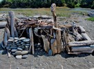 photo thumbnail #8