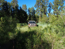 photo thumbnail #14