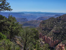 photo thumbnail #12