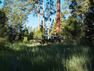 photo thumbnail #2