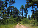 photo thumbnail #7