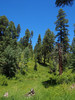 photo thumbnail #8