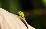 photo thumbnail #14
