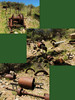 photo thumbnail #8