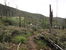 photo thumbnail #10