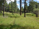 photo thumbnail #1