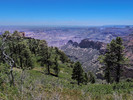 photo thumbnail #4