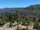 photo thumbnail #10