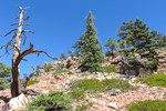 photo thumbnail #11