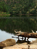 photo thumbnail #10