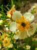 photo thumbnail #15