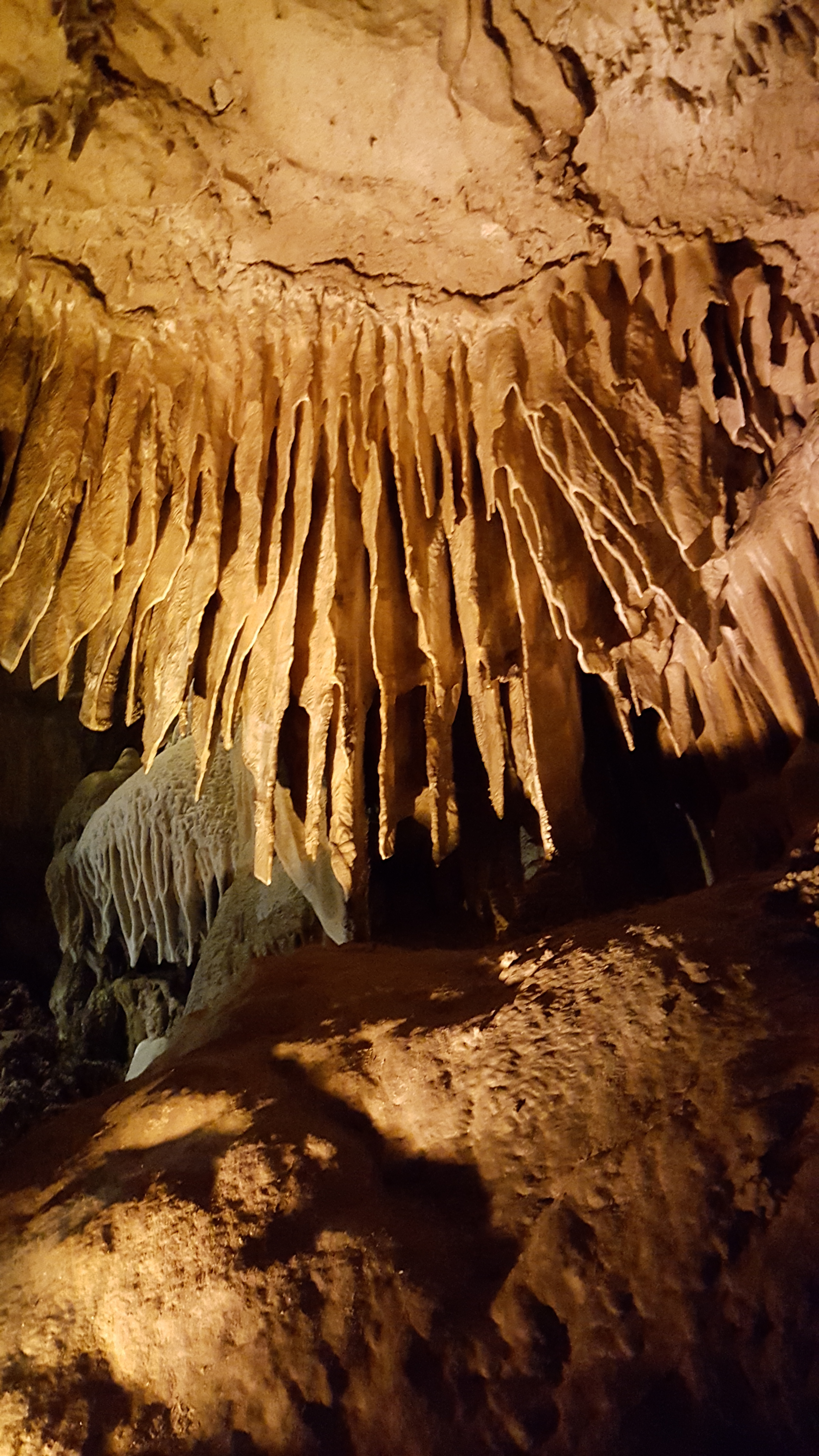 Crystal Cave, CA • Hike