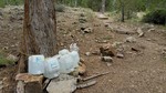 photo thumbnail #8