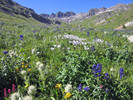photo thumbnail #5
