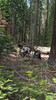 photo thumbnail #9