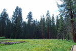 photo thumbnail #13