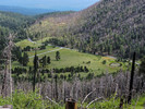 2015-07-30 :1: Lockett Meadow Meander :: Oregon_Hiker