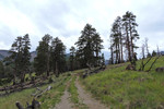 photo thumbnail #8