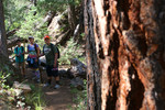 photo thumbnail #11