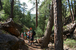 photo thumbnail #12