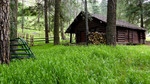 photo thumbnail #10