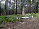 photo thumbnail #15