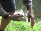 photo thumbnail #13