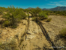 photo thumbnail #1