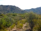photo thumbnail #5