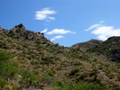 photo thumbnail #11