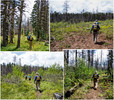 photo thumbnail #5