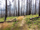 photo thumbnail #10