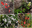 photo thumbnail #13